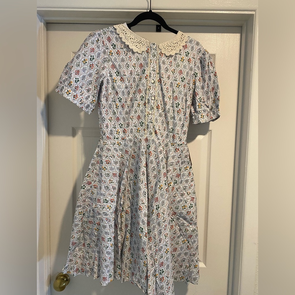 Ivy City Co Cream Lace Collar Floral Dress nwt
